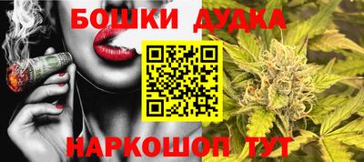 индика Будённовск