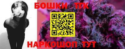 индика Будённовск