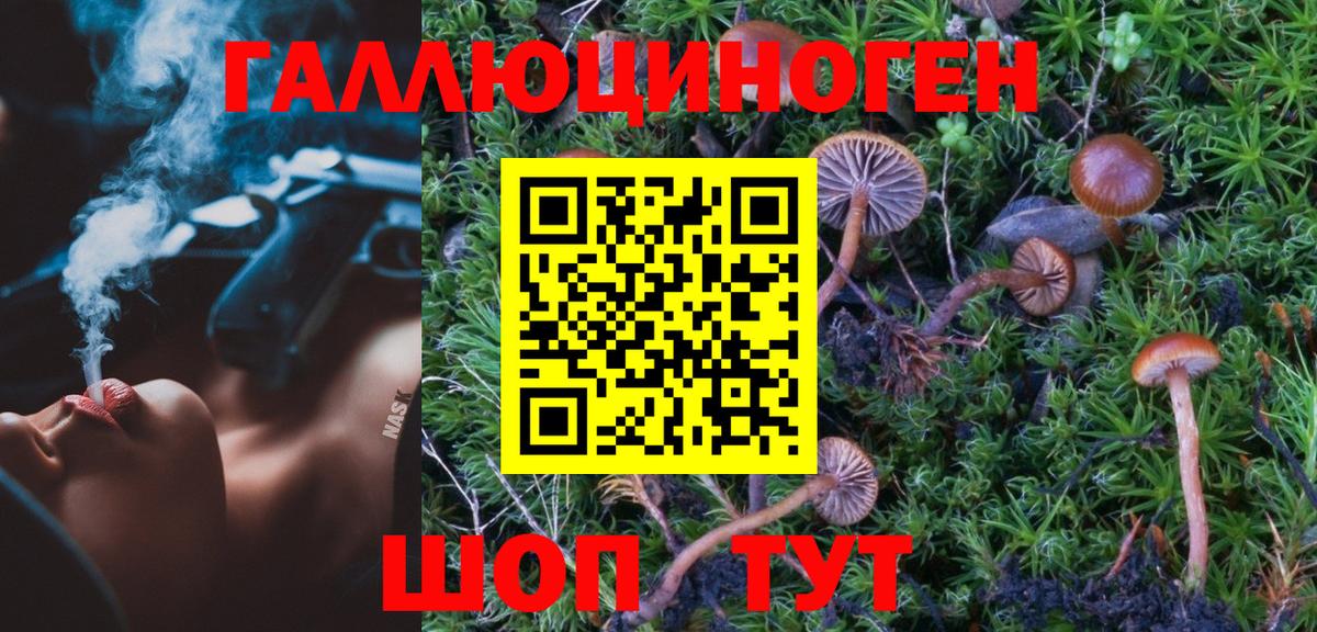 Улан-Удэ  Галлюциногенные грибы прущие грибы  Вход с VPN 